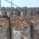 산여울농장 이미지