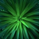 한국전력 장수지사 이미지