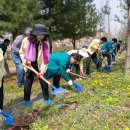 세종시 교육청 이미지