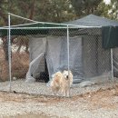 용봉초등학교 | 전주 근교 한정식 맛집 '봄차반' | 완주 봉동 자연발효음식 전문점