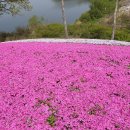 우산 아래 할머니 / 김일연목사 , 별. 알퐁스 도데 이미지