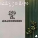 포레스트동물의료센터 | 포레스트동물의료센터 진료시간 접근성 이용후기