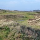 베스트 골프클럽 이미지