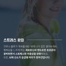 산친구 번개공지(3월 18일 (목) 강변연가 /두번째! 우리 함께 걸어요~) 이미지