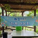 대바우가든 이미지