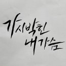 캘리그라피 화선지 연습 모음 (종이 비교 후기)