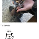네이버 OGQ마켓 크리에이터 첫 승인 후기 | 수익공개 | 스티커 등록하는 법 | 장단점 | 카카오톡...