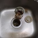 금빛크린 이미지