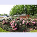 곡성-029 이미지