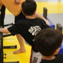 경희대 태권도장 이미지