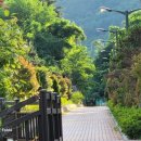 상남동 어린이공원 이미지