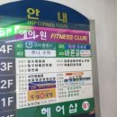 로라폴댄스 네이버블로그