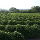 선은농장 이미지