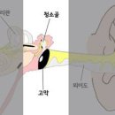 막고막창 이미지