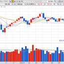 에스와이트레이딩 이미지