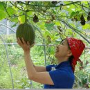 산들식당 이미지