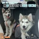 A+ 펫택시 네이버블로그