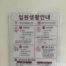 웰니스병원 | 부산 웰니스병원 치질 수술 당일 후기