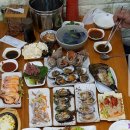 맘모스타운 Daum카페