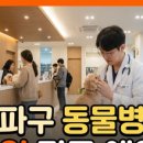 송파바로동물병원 이미지