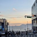 미포산단진입도로 | 해운대 블루라인파크 근처 더헛 카페 | 위치·주차 총정리 + 애견동반 후기