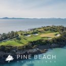 파인비치 이미지