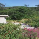 수박공인중개사무소 이미지