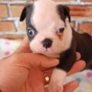 멍구멍구 이미지