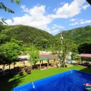 아일랜드코쿤 이미지