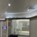 송도 아이본 동물의료센터 | [송도 동물병원]송도 24시간 동물병원, 24시송도오케이동물의료센터 방문(건강검진) 후기