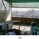 대조동 179-26 이미지