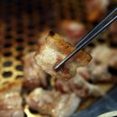 분당-240 이미지