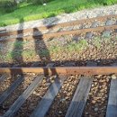 서남대학교 이미지