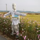 학천1리 이미지