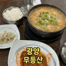 무등산&샤브샤브 | 광양 중마동 맛집 무등산 청국장 추천