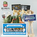 MR송 당구장 | 당구장, 볼링장 개업선물 추천! 황군팩토리 디자인화분!