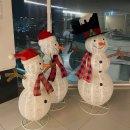 대전부사동우체국(1층) | 대전 부사동 카페 점선면, 대전애견동반카페, 대전두쫀쿠 내돈내산후기