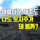 25시부동산공인중개사사무소 이미지