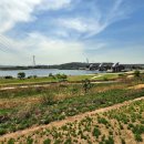 강정고령보 만남의광장 이미지