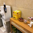 마담아네뜨 이미지