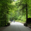 우성팬션모텔 이미지