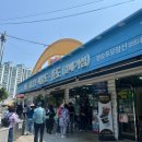 7392 | 거제도 외도 들어가는 방법 장승포 유람선 예매 방법 외도 방문 후기 외도 보타니아 방문 후기