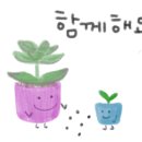 그림책 하브루타 코칭과정(하브루타 지도사 2급) 이미지