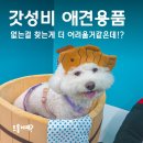 꾸미독 동탄애견미용 | 동탄애견용품점, 포토존도 있고 사료시식도 되는 24시간 무인매장 멍냥의민족 동탄목동점