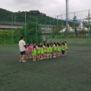 호만골 이미지