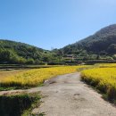 금화공인중개사사무소 이미지