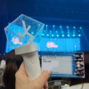 OPERA GALA CONCERT | 2025.06.27 | 2025 PALMTREE ISLAND 3rd GALA CONCERT | 팜트리 갈라 콘서트 첫콘 플로어 후기