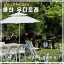 제일택시합자회사 | [5월 일기] 울산 야외 결혼식｜우디토레 카페｜하객 후기