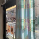 초리포레스트 이미지