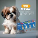 문호약국 이미지